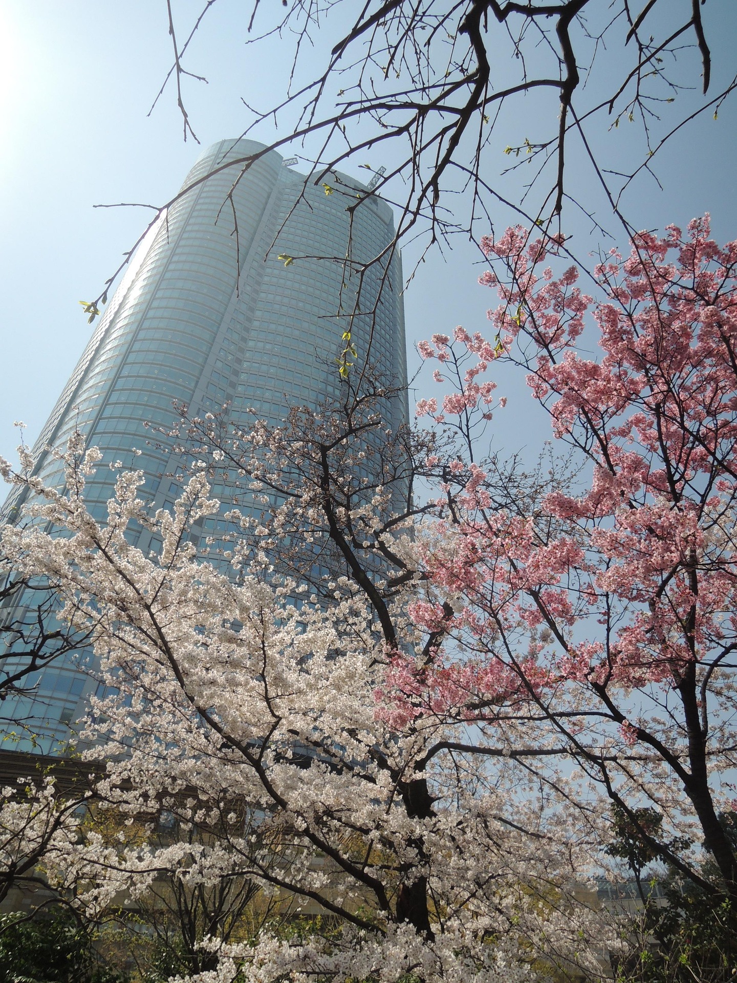 롯폰기 힐즈 전망대